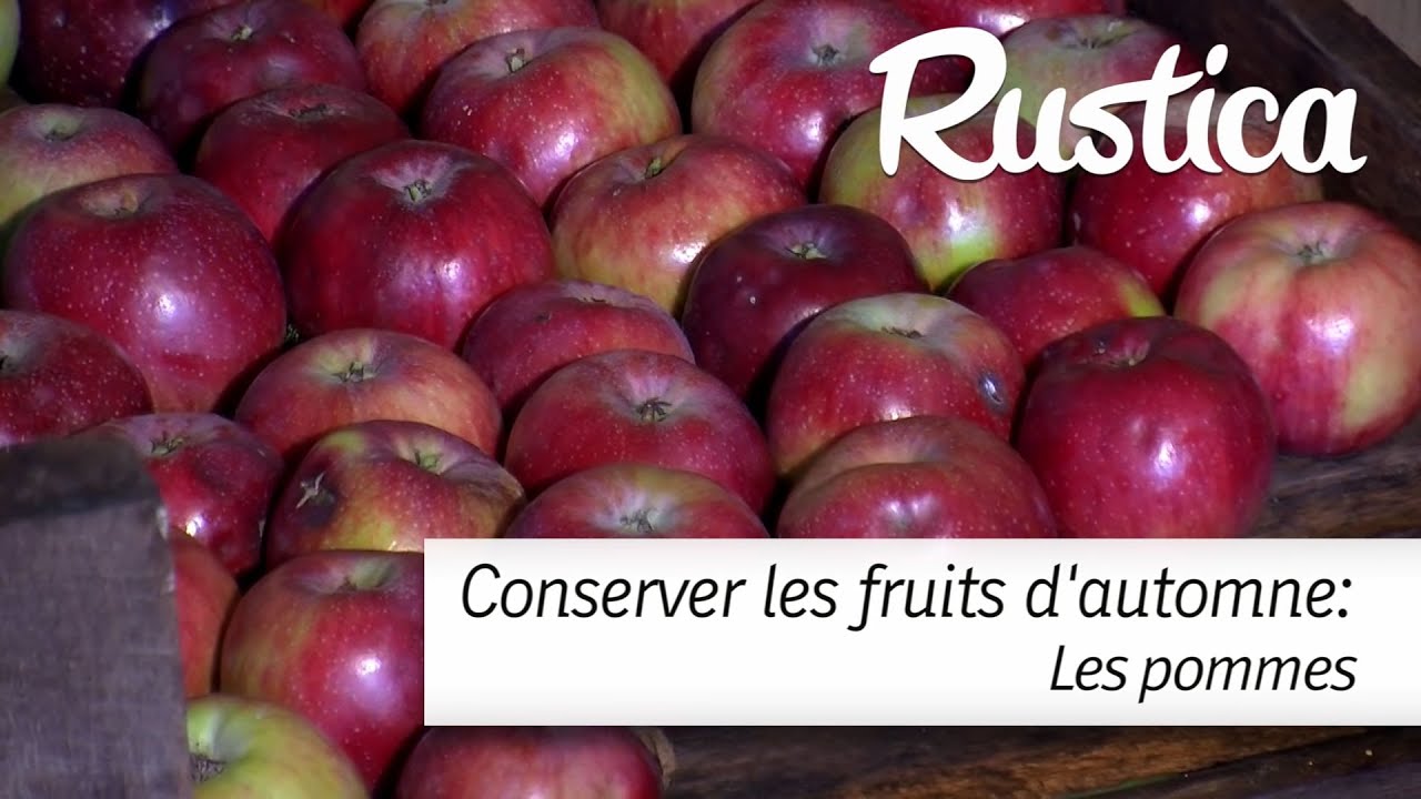 Comment conserver les pommes