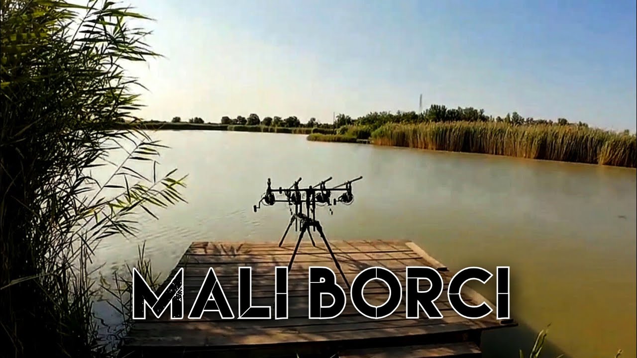Pecanje Šarana - BONUS RIBA?!