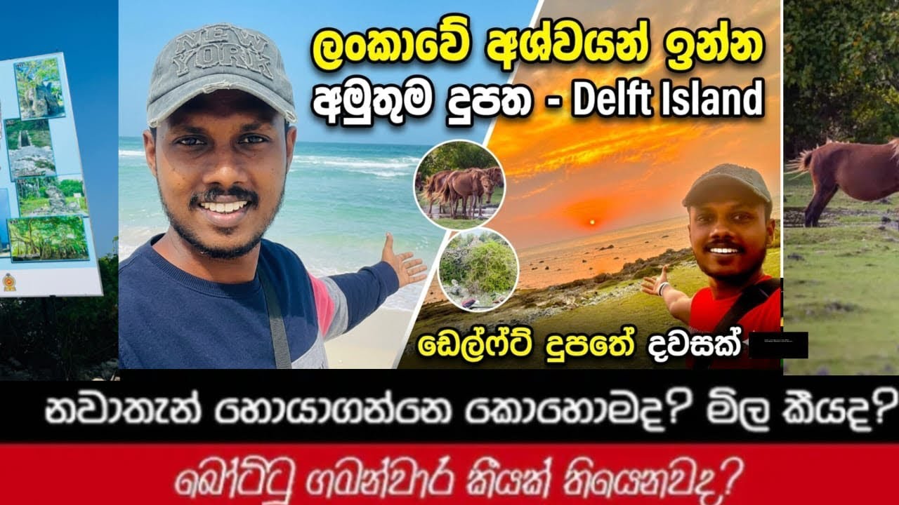 Delft Island Vlog | යාපනයෙන් එහා තියෙන අපූරු ඩෙල්ෆ්ට් දූපත 💁 #travel #srilanka #jaffna #delft 