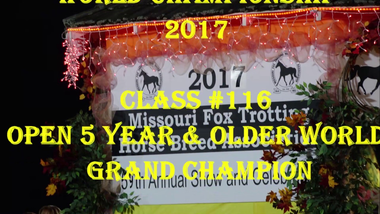 Missouri Fox Trotter Championship 2017 WGC 5+ Open