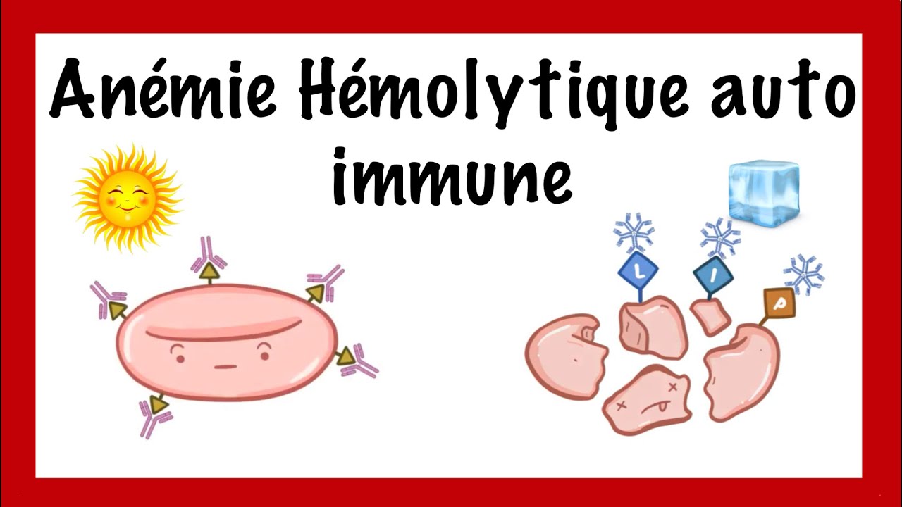 Anémie hémolytique auto-immune