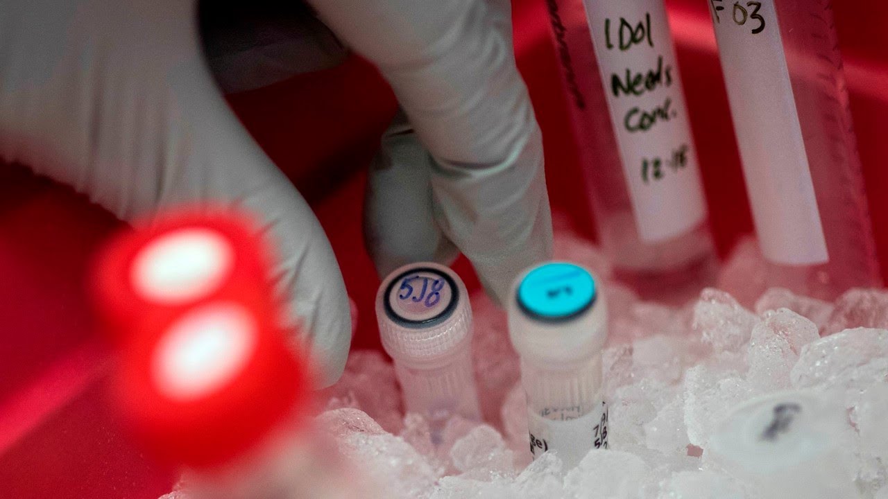Multiple sclerosis ‘reversal is actually possible’