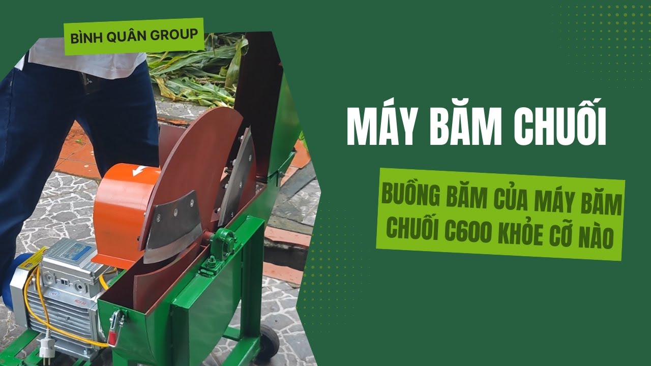Máy Băm Chuối | Buồng Băm Của Máy Băm Chuối C600 Khỏe Cỡ Nào