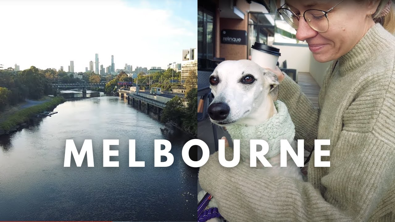 Melbourne Vlog - Dog Friendly Travel with our Whippet!