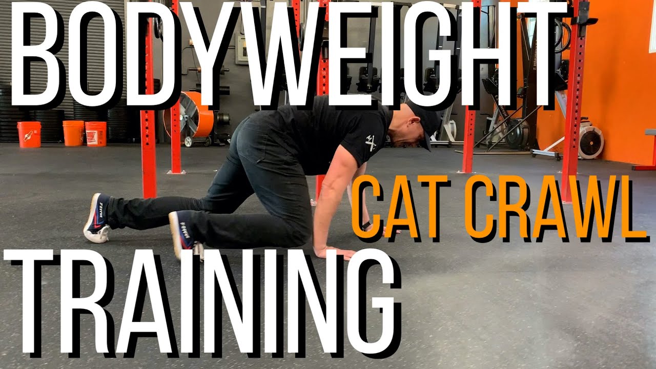 Body Weight Training - Cat Crawl - a total body athletic developer that requires no equipment