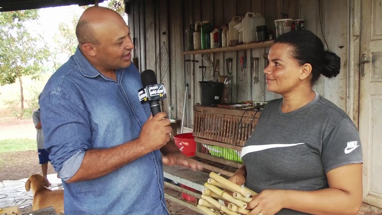 Artesanato com bambu
