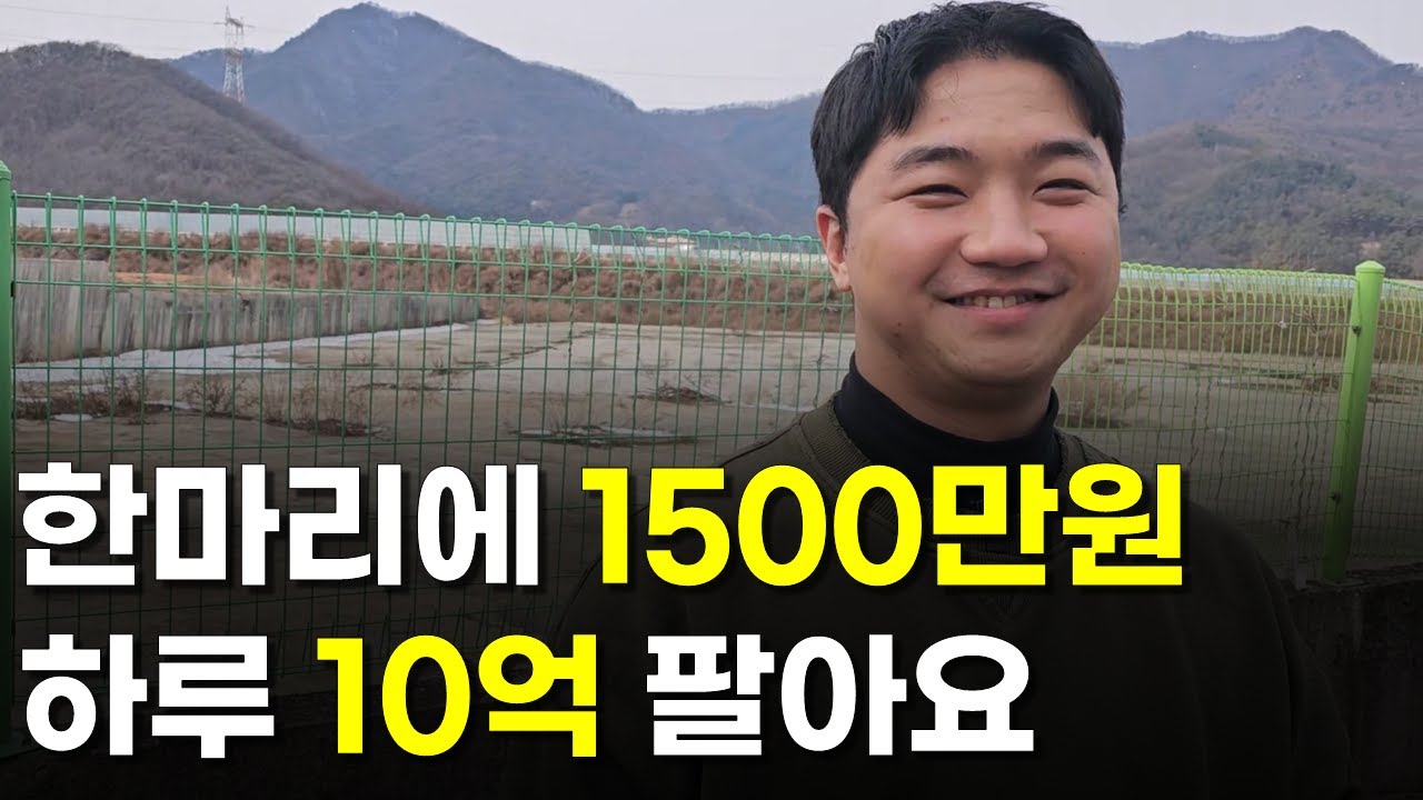 1500만원에 사와서 하루 10억 파는 32살 | 인간극장 | 다큐멘터리 | 휴먼스토리 | 장사의신 | 설날 | 명절 | 마장동 | 1등급 한우 선물 세트
