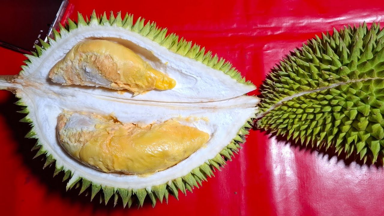 Они нас обманули, это не Tenom Beauty.