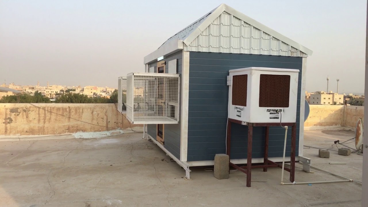 لوفت زاجل 2018 مرشد الهندي