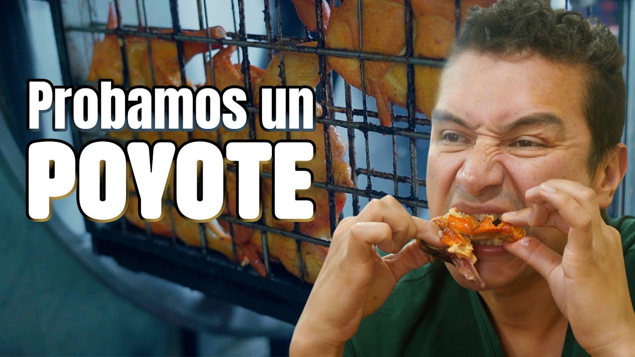 ¡UN POYOTE BIEN CURIOSOY UNAS CAZUELAS PA REVENTAR! |Los Insaciables