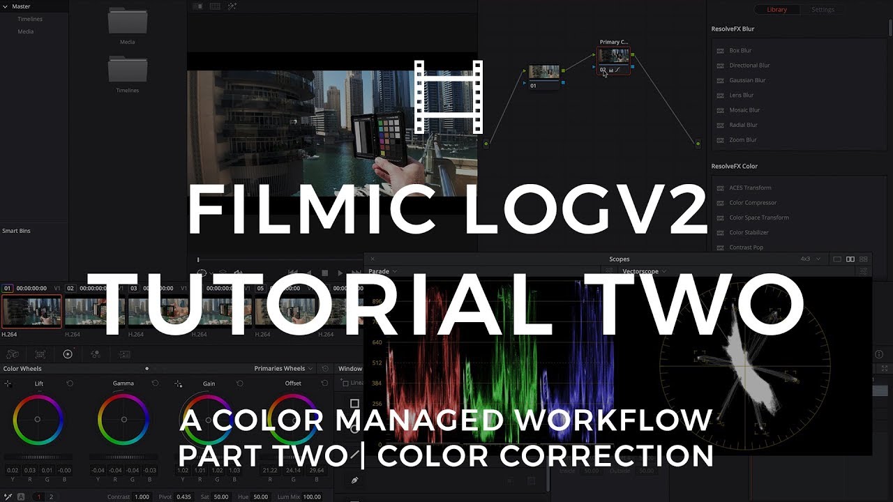 How to Color Correct FiLMiC Pro LogV2 with the X-Rite ColorChecker Part Two