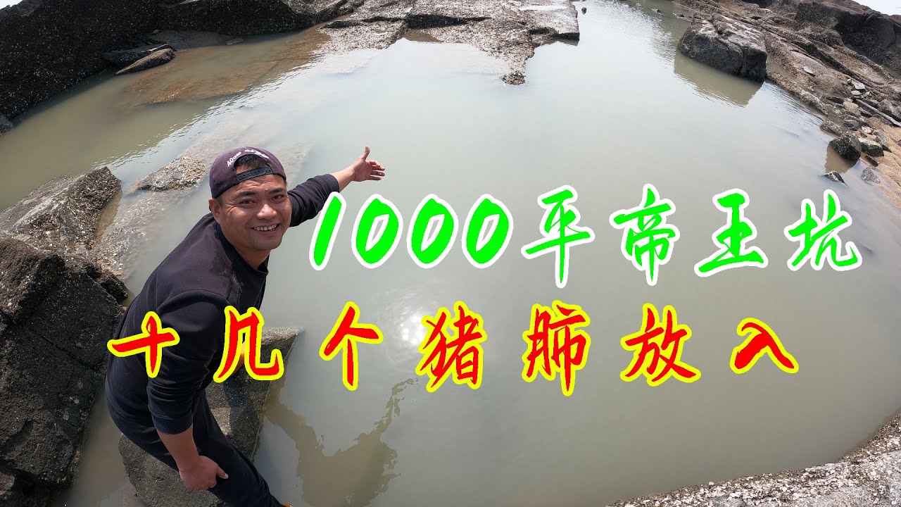 十几个猪肺放1000平帝王坑，满坑海货直接抓爆桶，这算赚还是亏？
