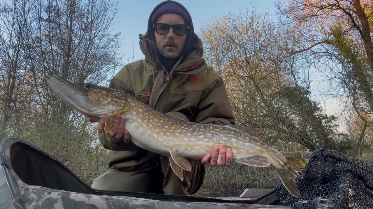 Pike fishing success on the River Waveney at Scole bridge