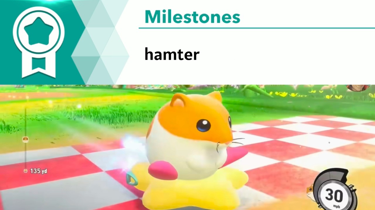 Vernias Forced us to Play Kirby Air Riders