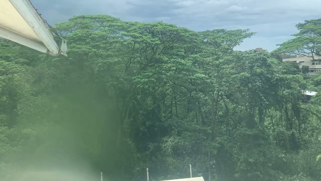 Mzakirafie 310 Semarang 2026