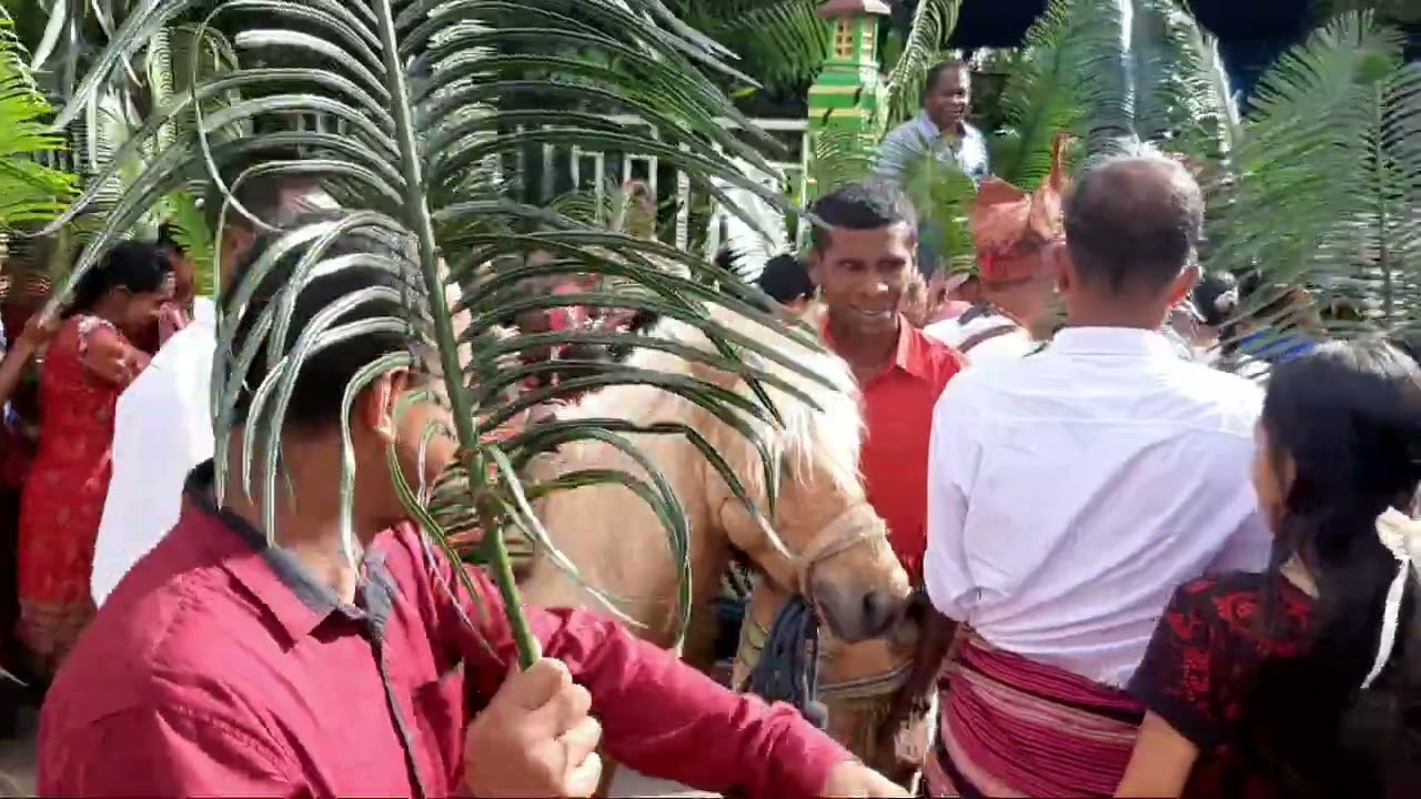 Perarakan Misa Minggu Palem Paroki St.Theodorus Weluli 13 April 2025