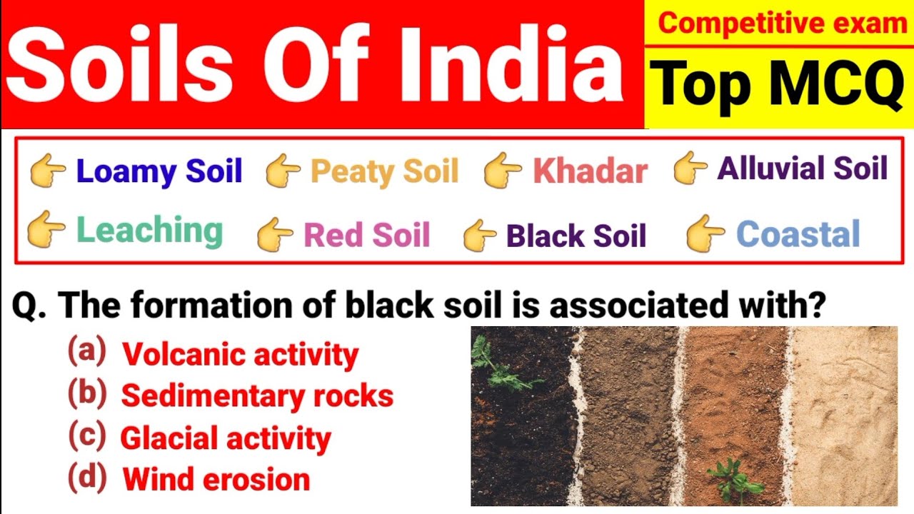 Soils of India || Indian soils mcq || Indian Geography  || For Upcoming Exams