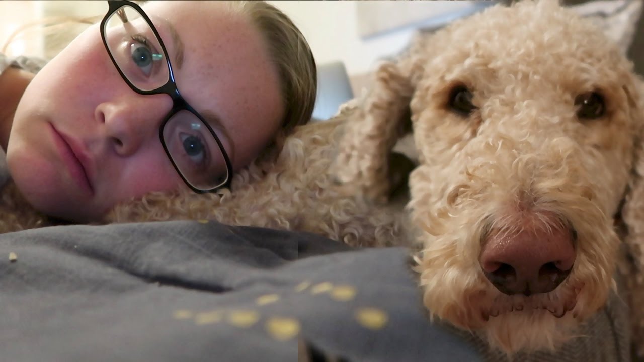IS MY SERVICE DOG SICK?!? 😢 (3.18.17)