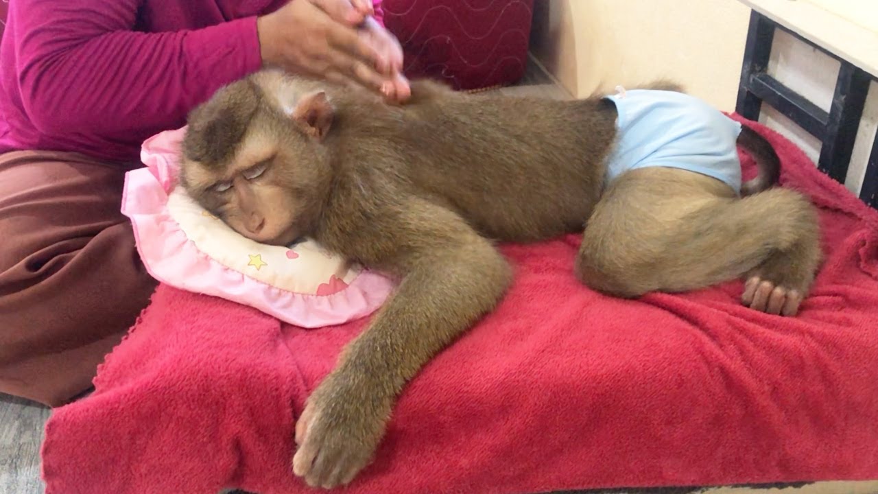 Handsome Jason Shy In Shorts To Wait Massage Traditional