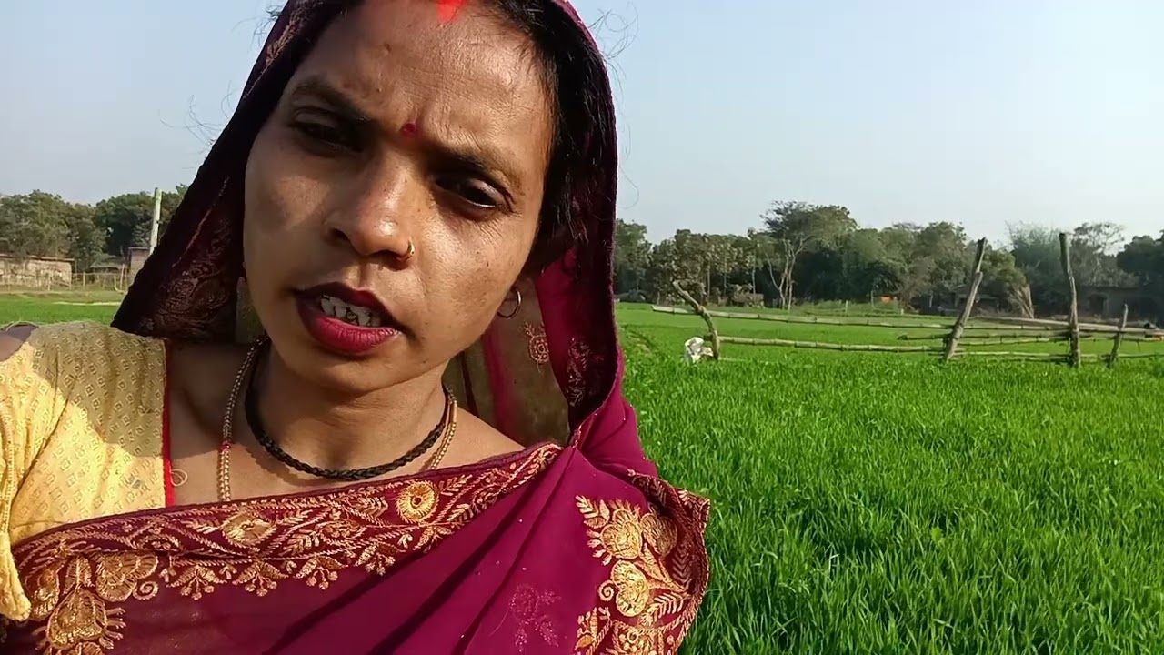 हेलो दोस्तों सपोर्ट करो मेरे भाई बहन 🙏🧡🧡🩵🌹🌹🥰🥰❤👌👌👌👍