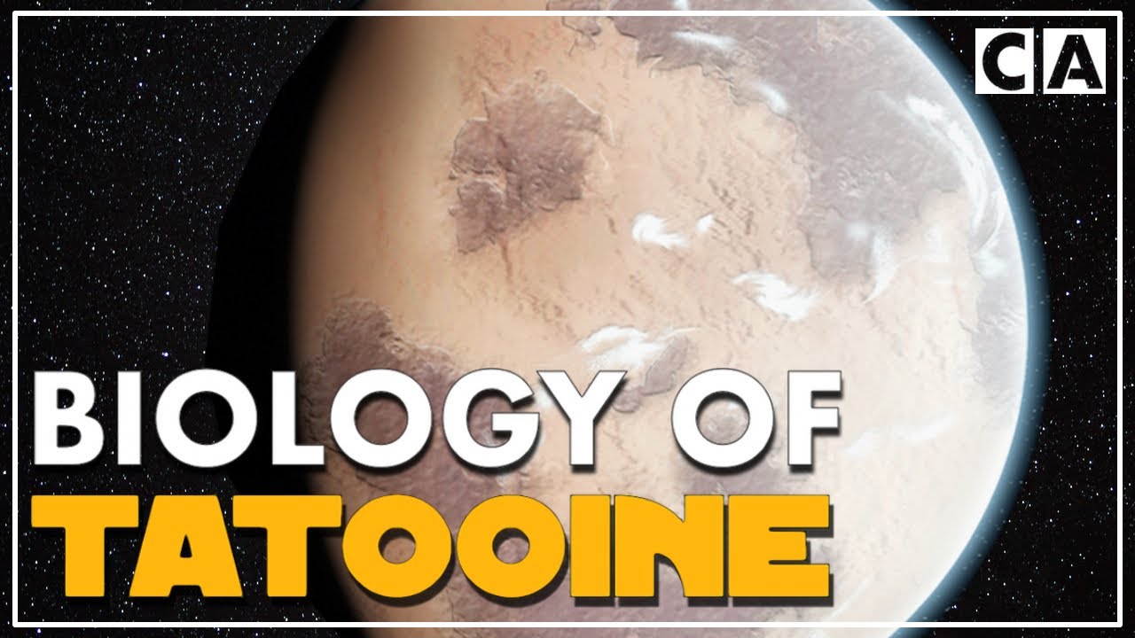 The Biology of Tatooine | Speculative Biology