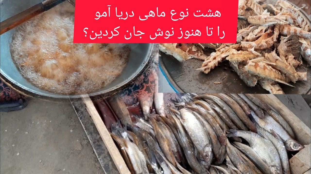 ولسوالی کلدار ولایت بلخ بهترین ماهی افغانستان را دارد