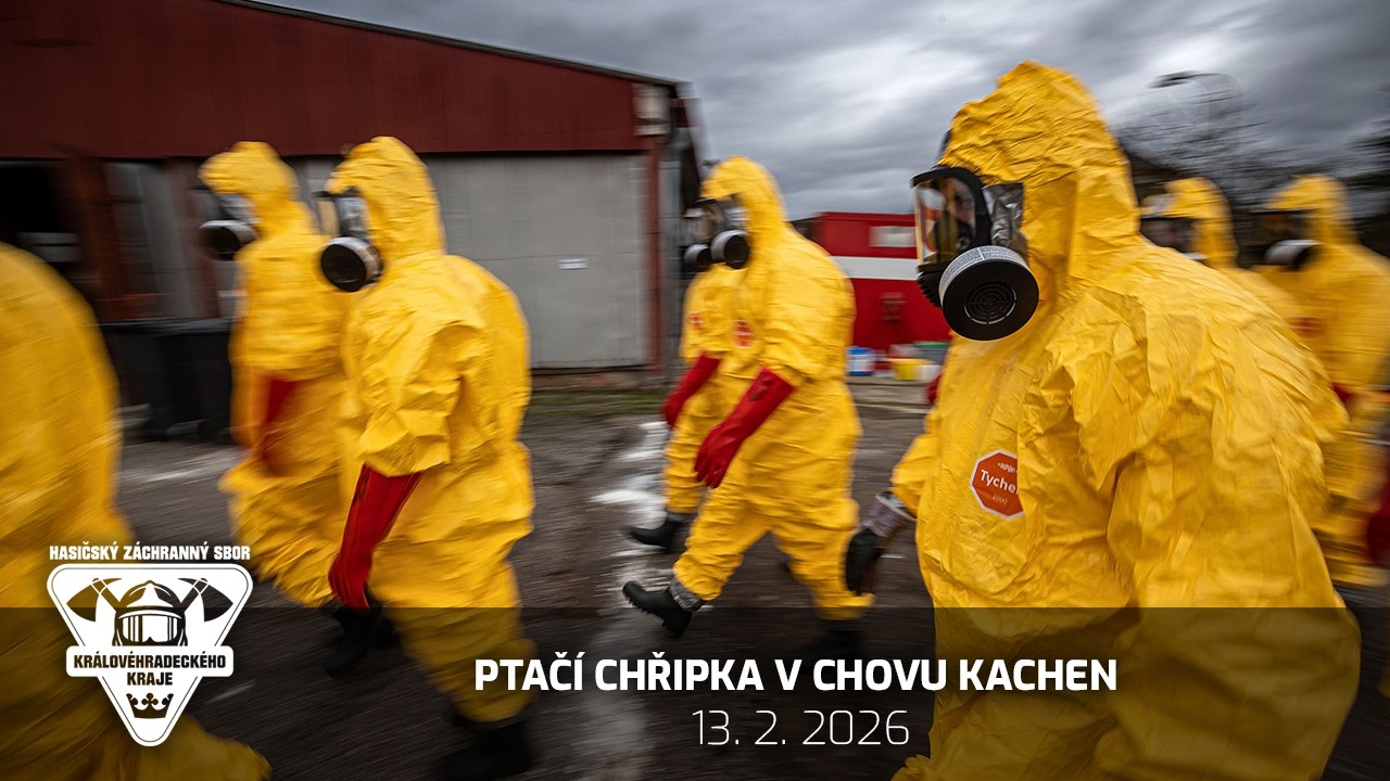 13. 2. 2026 - Ptačí chřipka v chovu kachen na Královéhradecku