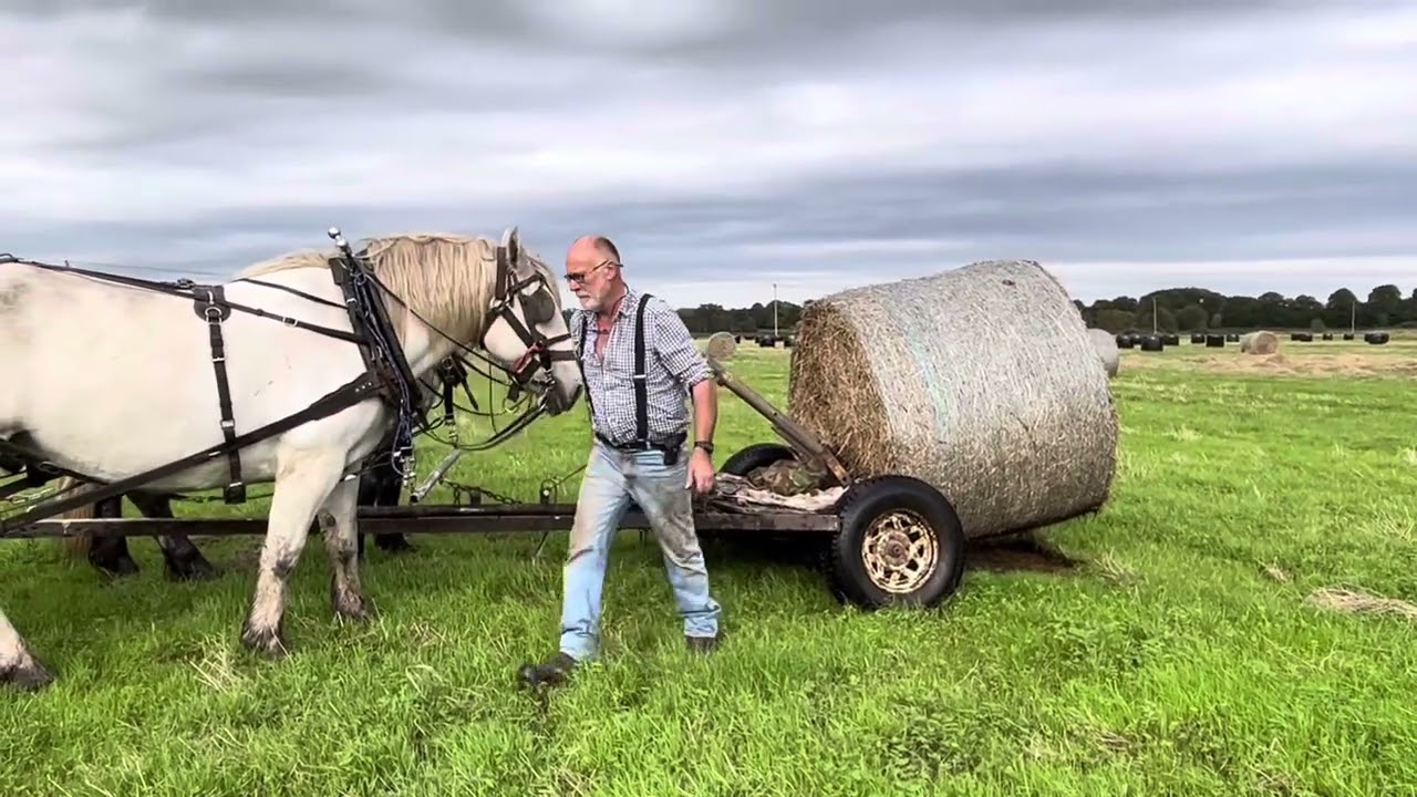Horse drawn round Hay bale pusher picker upper.