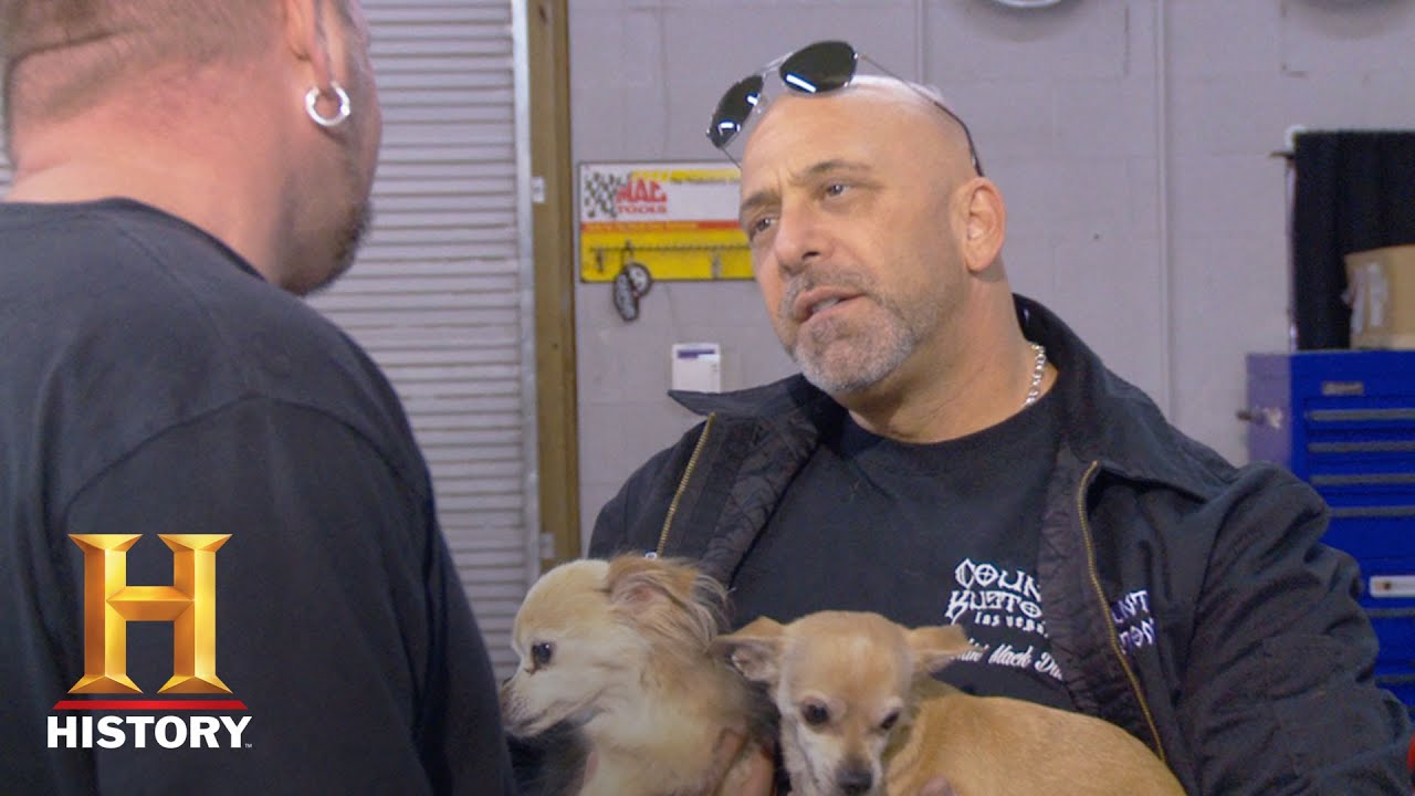 Counting Cars: Bonus: Pimped-Out Pooches | History