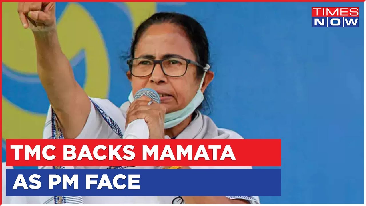 TMC Backs Mamata Banerjee As PM, 'Knives Are Out' Claims 'Vindicated' BJP | Latest English News