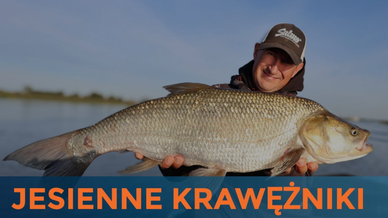 Kto pierwszy zdejmie klątwę :)