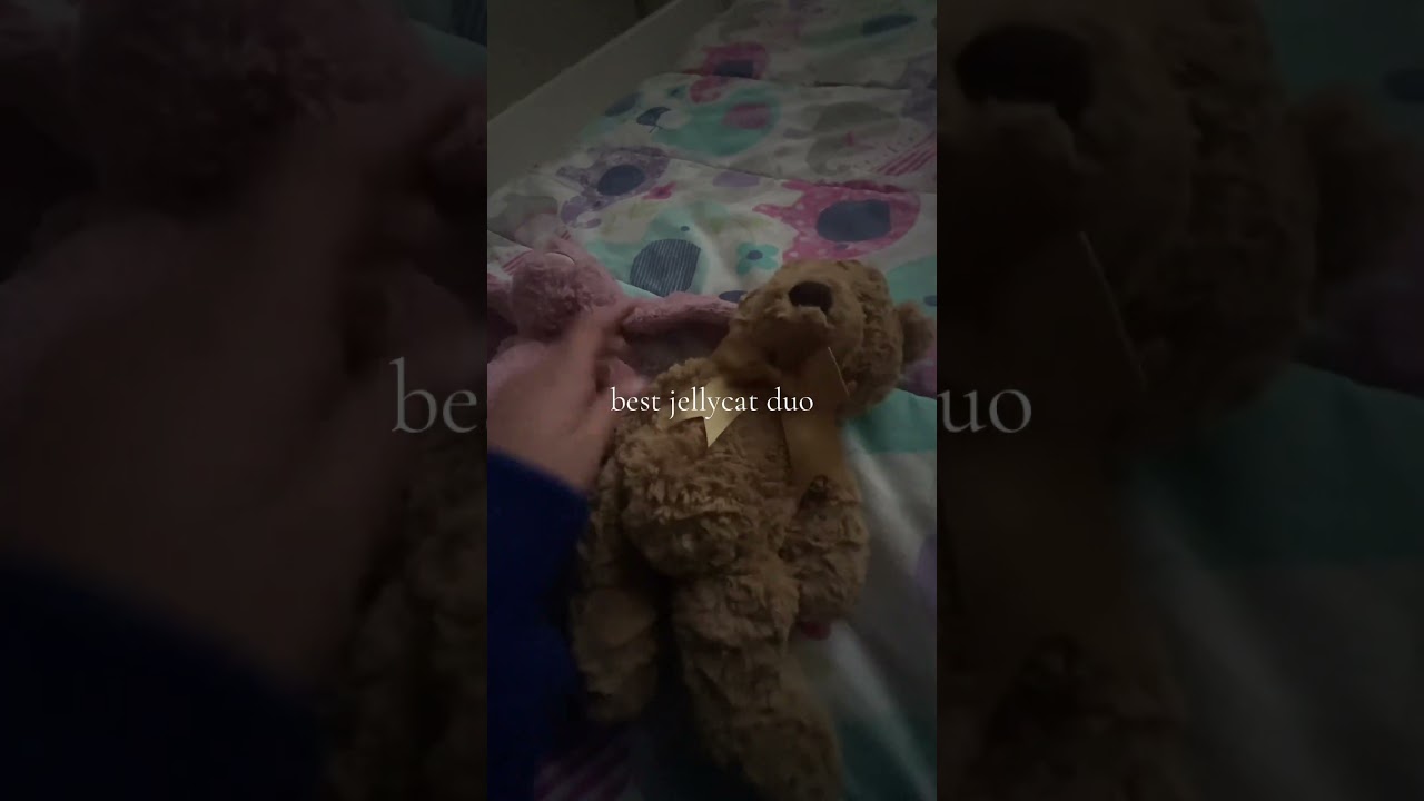 best jellycat duo 🩷🤎 