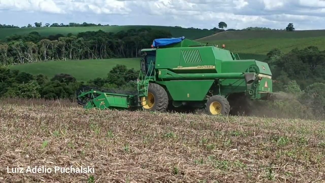 John Deere 1550 nós arremates do feijão.