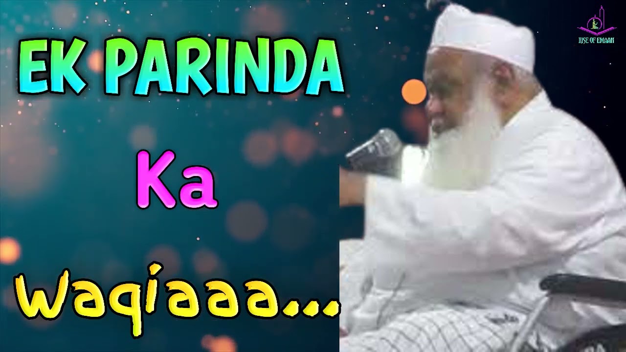 😱 EK PARINDA KA WAQIAA 😨 bayan by moulana Qasim Quraishi sab.