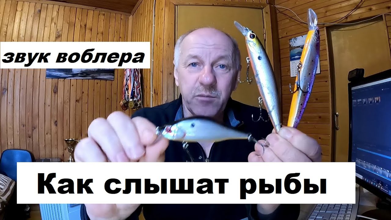 Звук воблера для судака и щуки