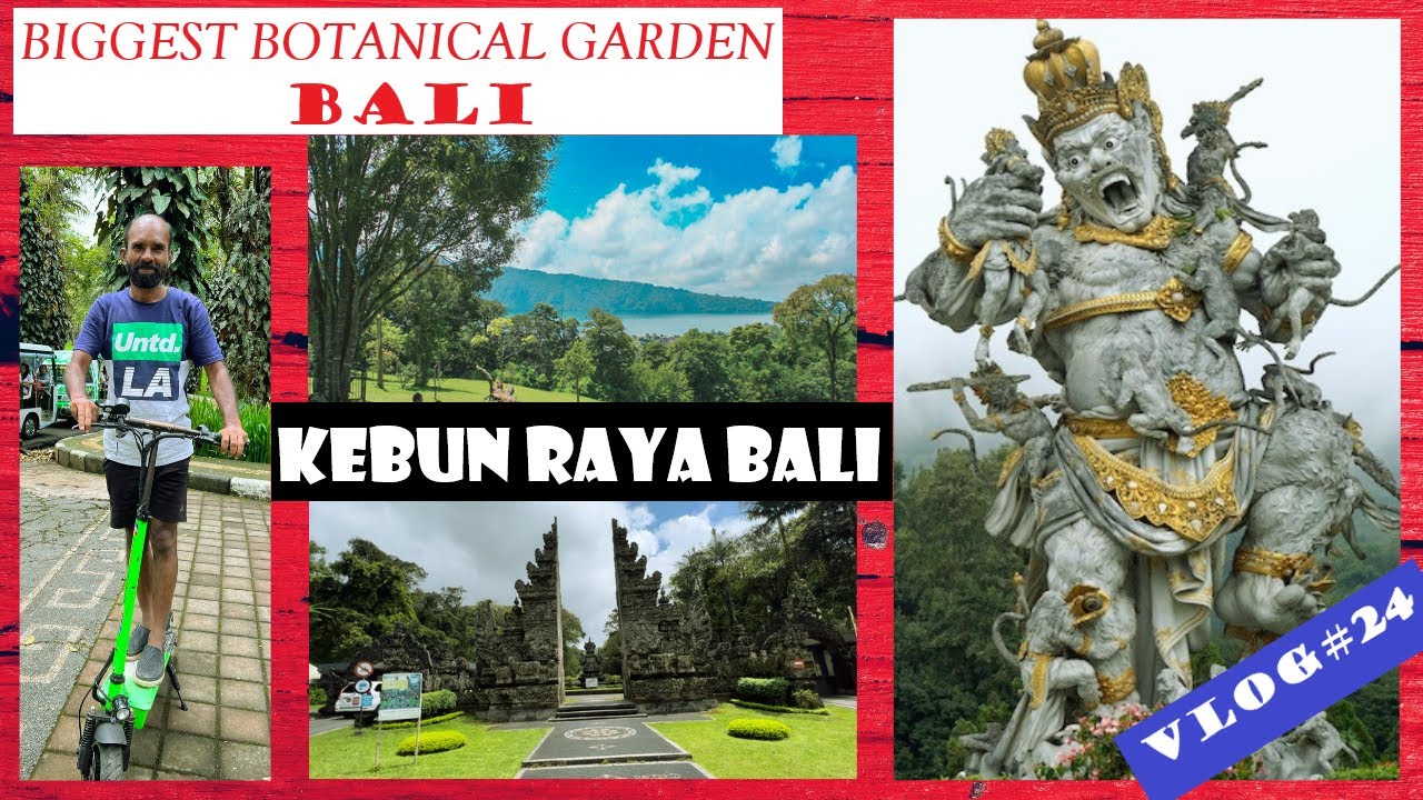 Biggest Botanical Garden of Bali - Kebun Raya Bedugal | Bali vlog#24