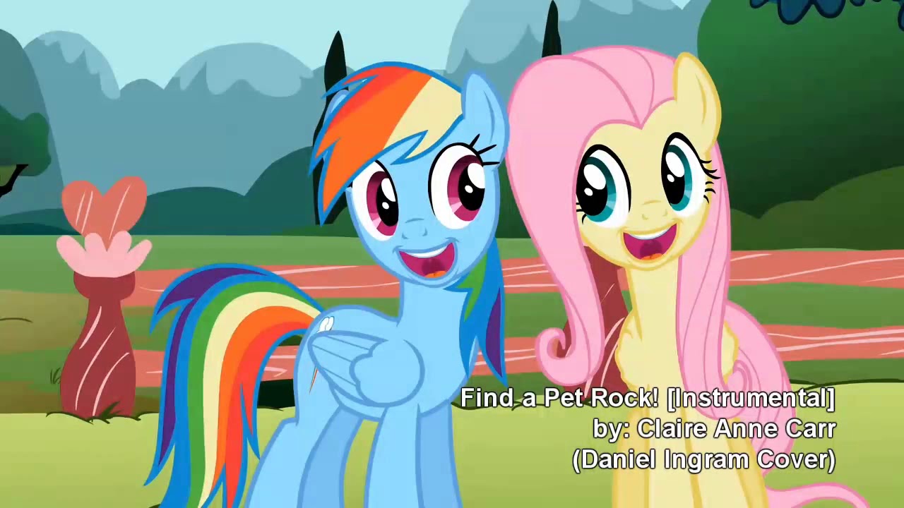 Find a Pet Rock! -Instrumental-