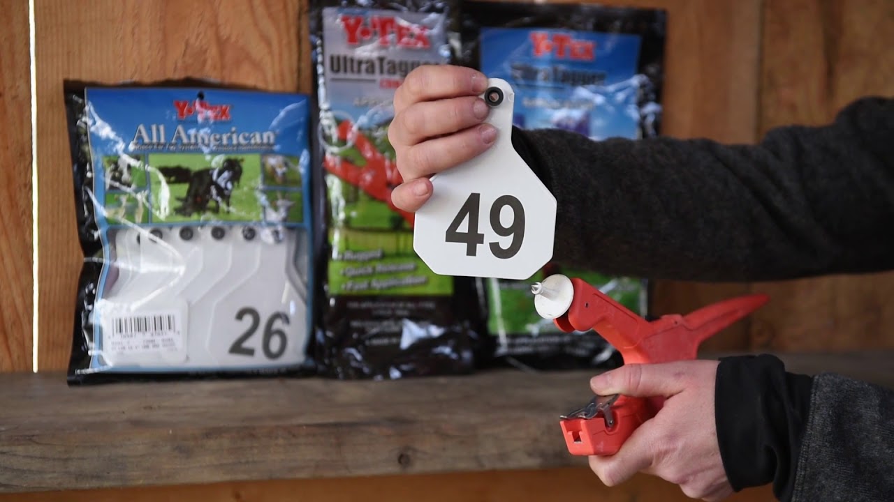 Y-TEX    All American Cow Tag Application