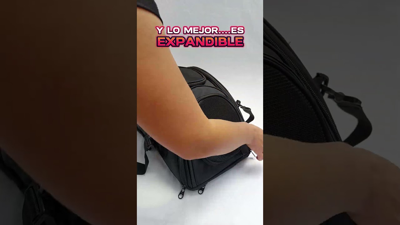 Maleta para viajar con mascotas en moto - Petbag