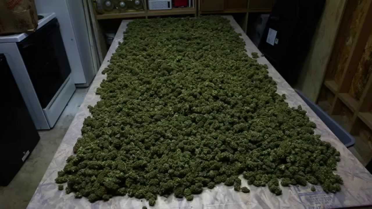 11,000 Watt Romulan Dump-Out