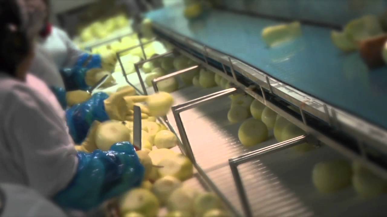 Gills Fresh Cut Onions