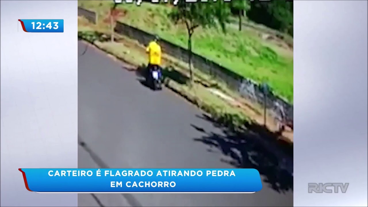 Câmeras flagram carteiro dando pedrada em cachorro em Maringá; veja!