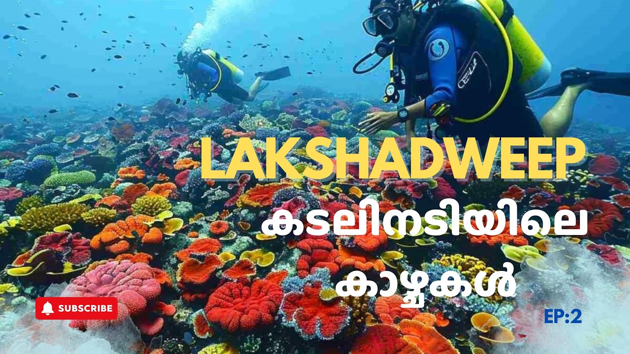  Lakshadweep Vlog | EP : 2  | Scuba Diving, Kayaking & Fishing Adventures