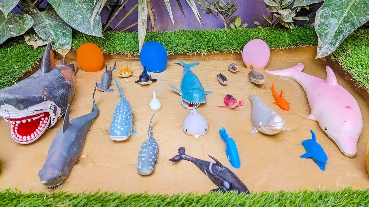 Biggest Sea Creatures Adventure in Mud 🦈 🐬 Wild Shark Blue Whale Friendly Dolphin Ocean Animals