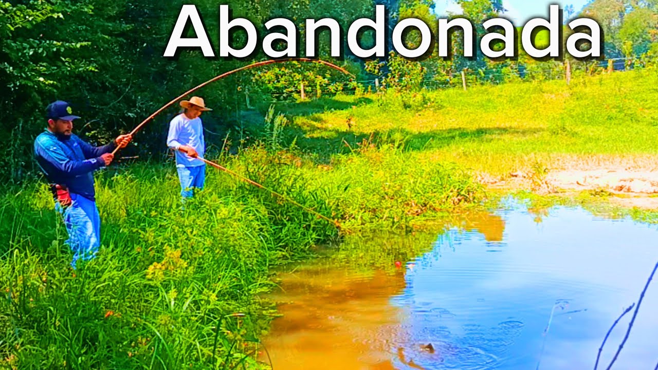 Retornei na Lagoa Esquecida e dessa vez ela veio 