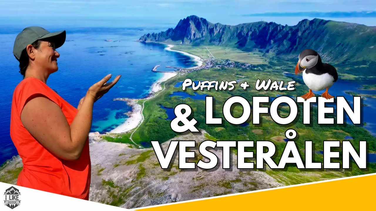 Roadtrip von den Lofoten zu den Puffins auf den Vesterålen #norwegen