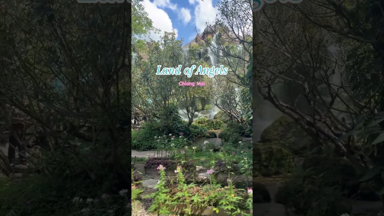 Land of Angel, Chiang Mai 🌸🌿 #chanfulmoments #travel #dailyvlog #flowergarden #manmadewaterfall