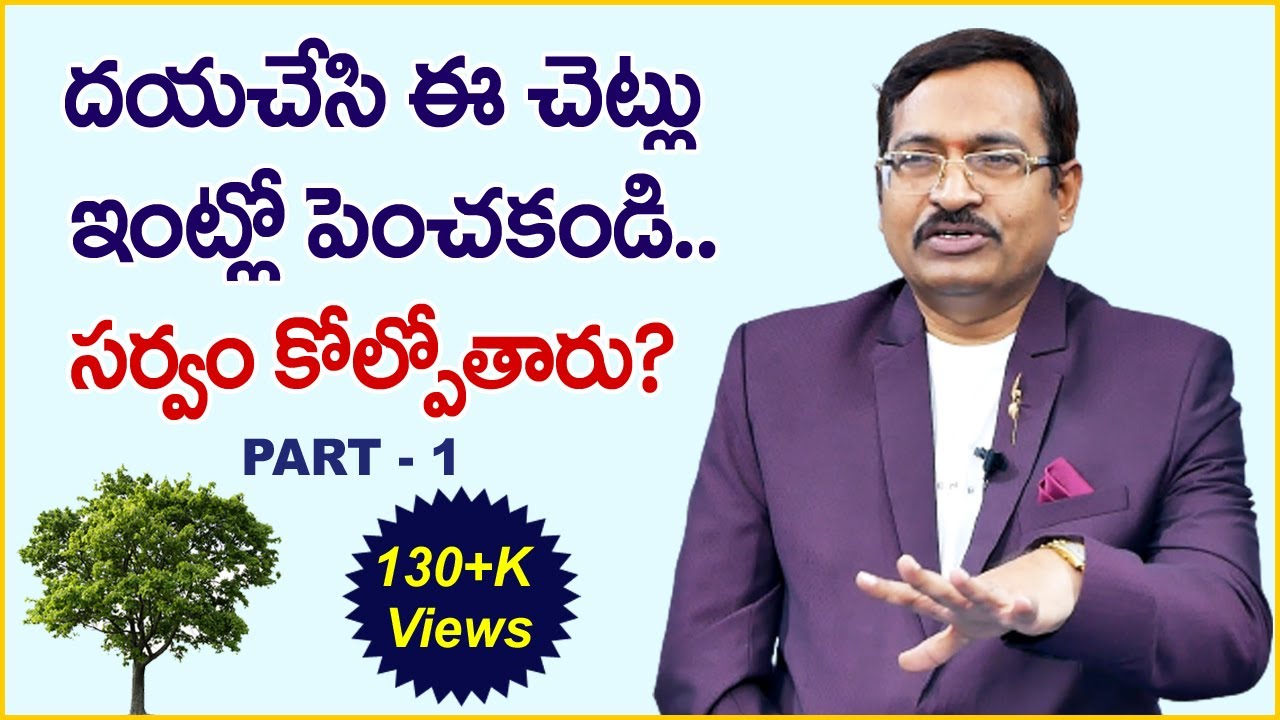 Vastu for Trees in Home | Vastu Shastra | ఈ చెట్లు ఇంట్లో పెంచితే సర్వం కోల్పోతారు | M QUBE