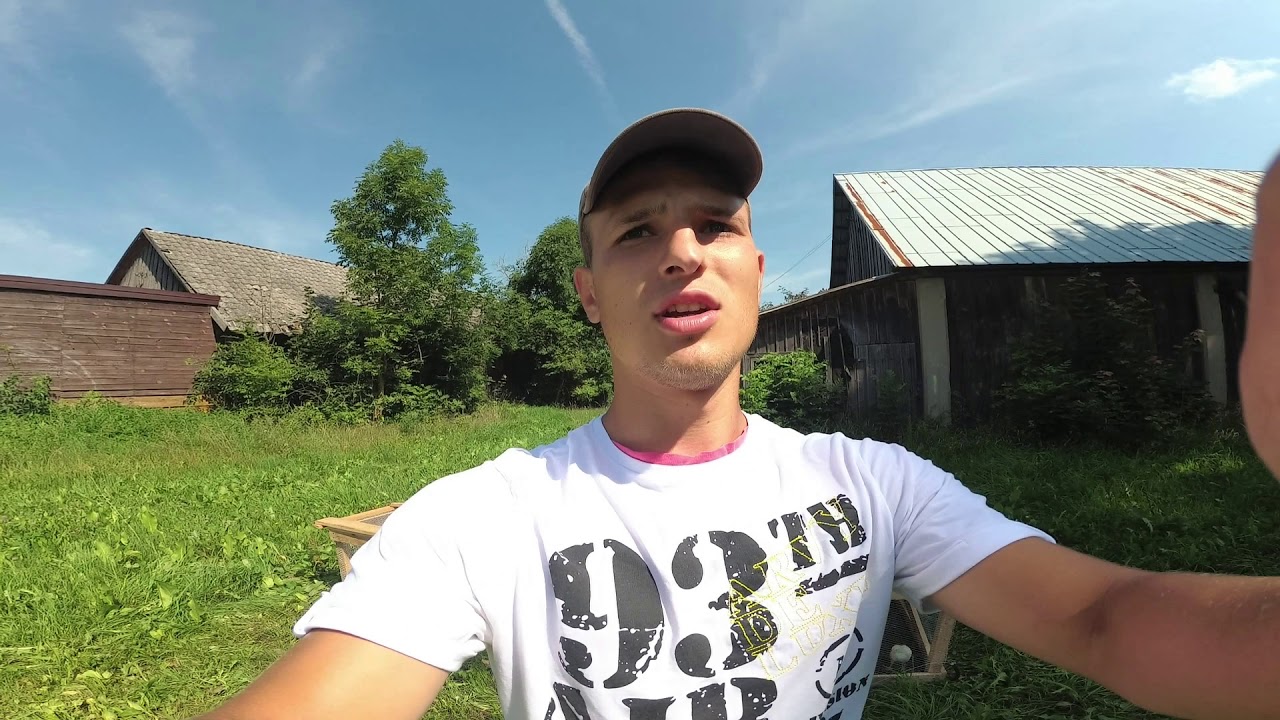 Więcej kurczaków na pastwisku, słowo o rolnictwie regeneratywnym!