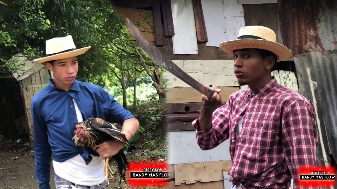 se roba el gallo LOS VECINO DEL CAMPO capitulo 2